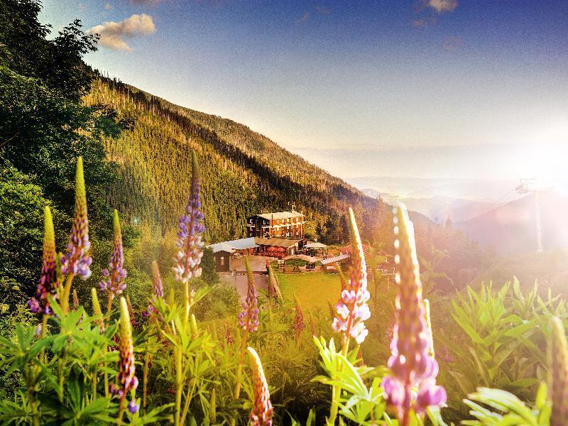 Hotel Srdiecko Тале Екстериор снимка